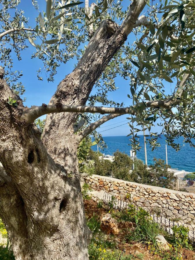 Stone Home - Sea & Landscape Marittima Exterior photo